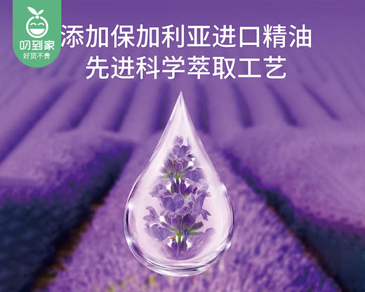 麦卡洛纯净薰衣草洗衣液/1瓶（5kg）限用日期：28年3月补单专用 商品图2