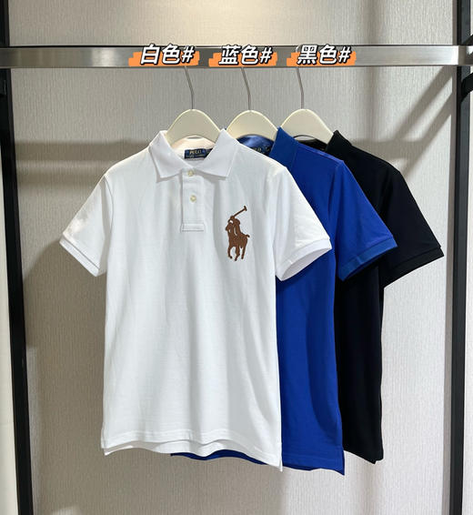 拉夫劳伦男士皮标Polo衫041202 商品图0