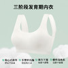 A5-【三阶段初高中生少女文胸】内衣14-18岁学生无痕防凸点文胸  菁梦花园/悦动青甜莓蜜语/兔耳摇摇【青春系列】 商品缩略图4