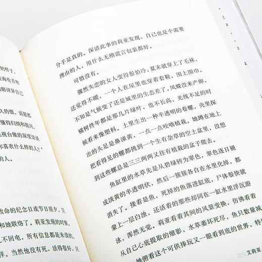 安静·肥满 台北文学奖得主卢慧心小说集 收录11篇短篇小说作品 商品图4