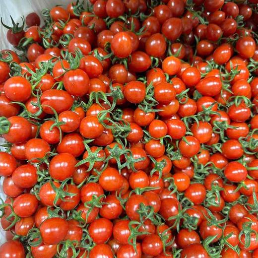 千禧小番茄 商品图1