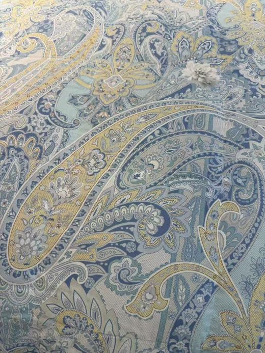 【富安娜】B座7F|:A类印花水洗鹅绒夏被\德莉亚 商品图1