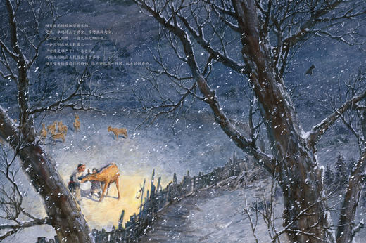 马鹿卓玛 文津奖获奖图书 历时六年精选打造 新华社报道 来自藏区的真实故事 商品图3