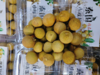 泰国小核龙眼一盒 商品缩略图1
