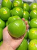 美国 青苹果 单颗 商品缩略图1