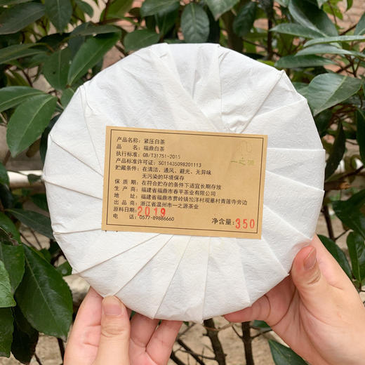 【青山特惠】禅意生活 礼盒装 福建福鼎太姥山19年寿眉白茶350g hc 商品图1