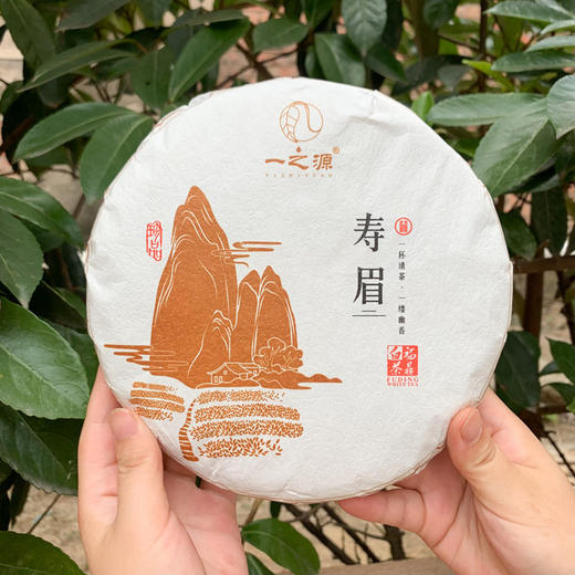 【青山特惠】禅意生活 礼盒装 福建福鼎太姥山19年寿眉白茶350g hc 商品图0
