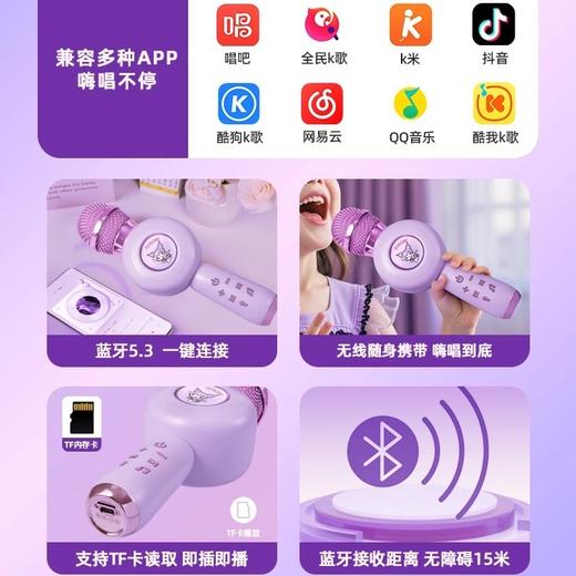 7送1原品！！三丽鸥儿童库洛米小话筒音响麦克风一体卡拉ok唱歌音乐早教唱歌宝宝玩具 商品图7