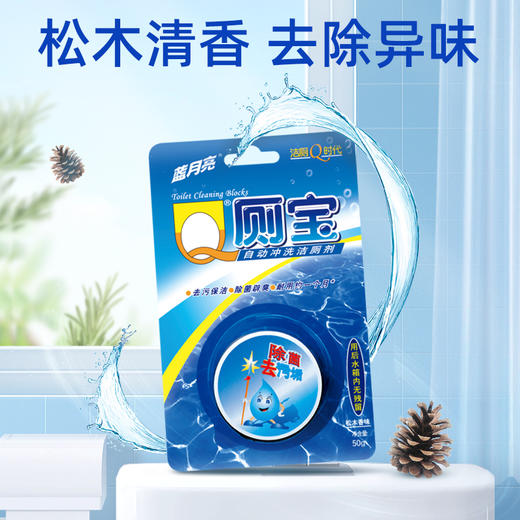 【直播到手价27.9！】蓝月亮 强效厕清500g*2+松木香型Q厕宝50g*2块（预售5天内发货） 商品图8