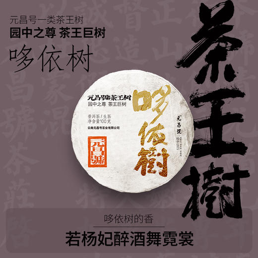 【茶王树系列】元昌号2025年哆依树一类茶王树100克生饼 商品图0