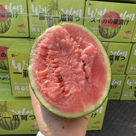 庞各庄冰糖小西瓜 商品图4