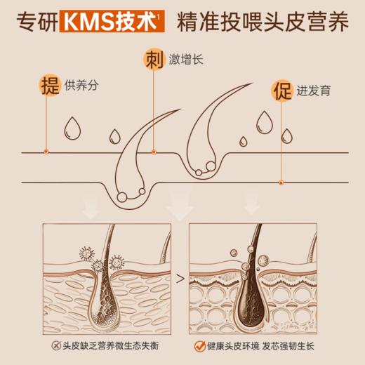【1周强根养发】西班牙Nuggela&Sule 头发再生安瓶10毫升 商品图3