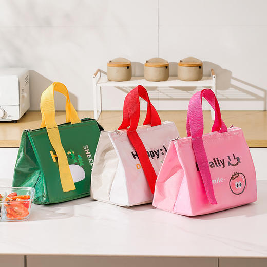 【醒粉福利9.9元/个】PU防水加厚保温饭袋 学生上班族带饭包保温饭盒袋 商品图0