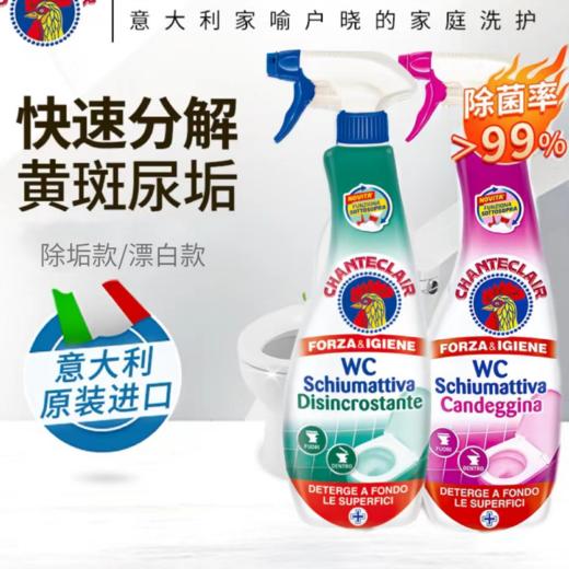 大公鸡马桶清洁剂（漂白）（除垢）625ml 商品图4