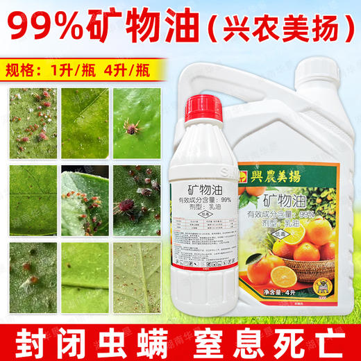 99%矿物油兴农美扬杀虫剂柑橘果树除红蜘蛛专用杀螨剂杀虫油铜锰 商品图3