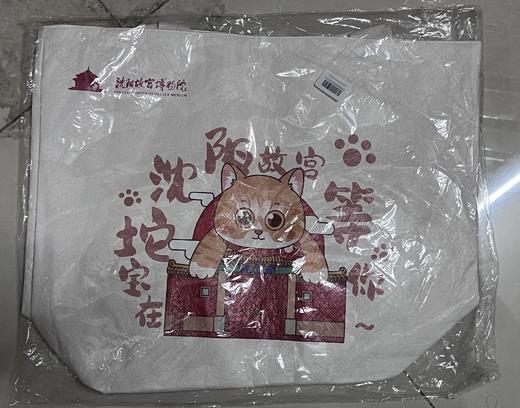 宫猫系列杜邦纸袋 商品图0