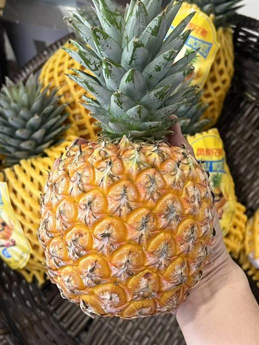 芒果凤梨（单果2.2斤左右） 商品图0