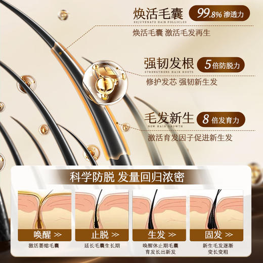 【下单赠烟酰胺补水面膜】欧橘Orginese 草本生姜防脱固发洗发水 啫喱质地 480ml/瓶 商品图3