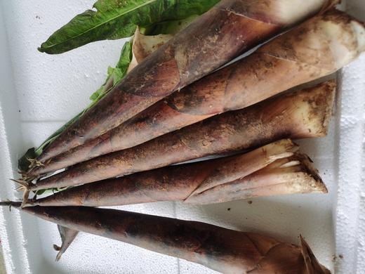 雷笋（500g） 商品图2