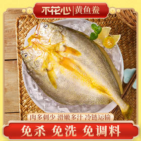黄鱼鲞｜精品醇香黄鱼鲞  肉多刺少 |轻松烹饪175g 230g/包