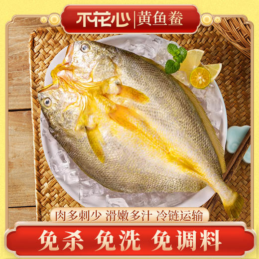 黄鱼鲞｜精品醇香黄鱼鲞  肉多刺少 |轻松烹饪175g 230g/包 商品图0