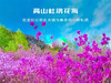 【黄梁根1日】北京最壮观最集中的杜鹃花-黄梁根11公里环穿<初级强度> 商品缩略图2