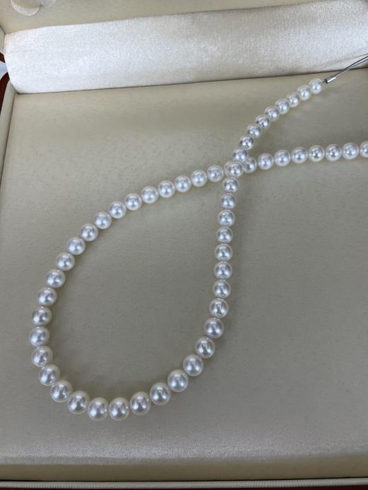 7mm-8mm akoya项链 商品图4