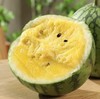 冰淇淋黄金西瓜网红薄皮西瓜9kg整箱装4个/箱【精选】 商品缩略图0