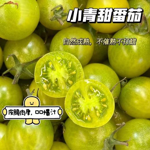 【青甜小番茄】薄皮爆汁，甜得过瘾，外皮紧实，内里爆浆，浓郁番茄味加上脆甜爆浆感，堪称“爆汁小炸弹” 商品图1