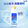【直播到手价27.9！】蓝月亮 强效厕清500g*2+松木香型Q厕宝50g*2块（预售5天内发货） 商品缩略图3