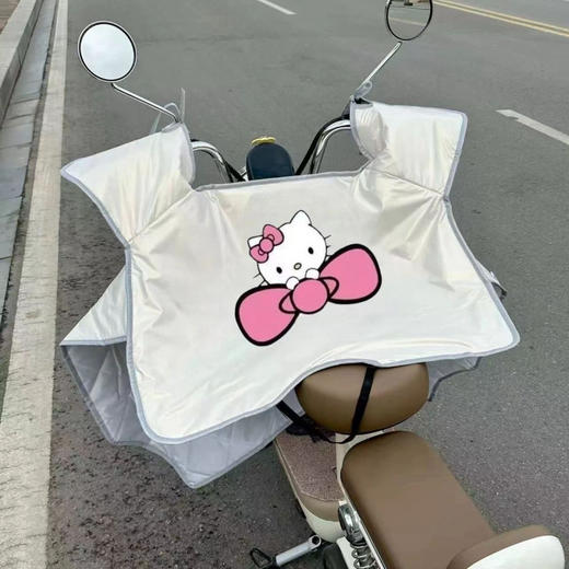 【YW】无忧购电动车挡风被薄款夏季防晒双面防水（截单后7天发货) 商品图2