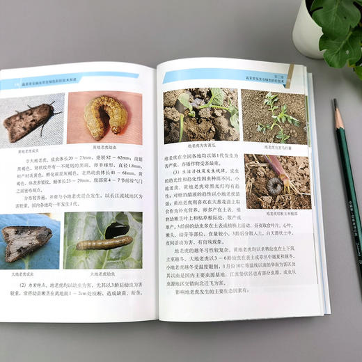 蔬菜常见病虫草害绿色防控技术图谱【官方正版，可开发票】 商品图3