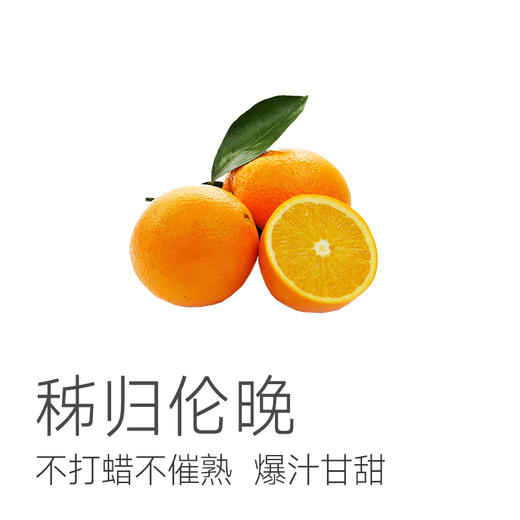 【秭归伦晚 补充每日VC】鲜橙 入口化渣，汁水足，甜度高，好吃不上火，全家都爱吃~ 商品图1
