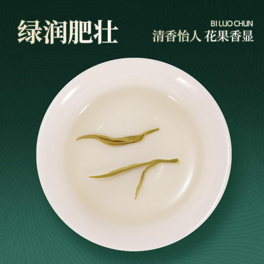 【年货茶礼】茶叶 碧螺春  2025年新茶 明前 茶叶礼盒 茶饮 华源 250g【头采礼盒】 商品图4