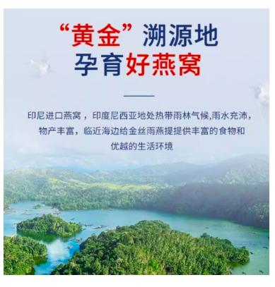 印尼溯源码燕窝燕碎原装进口正品滋补品 商品图0