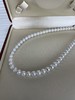 7mm-8mm akoya项链 商品缩略图0