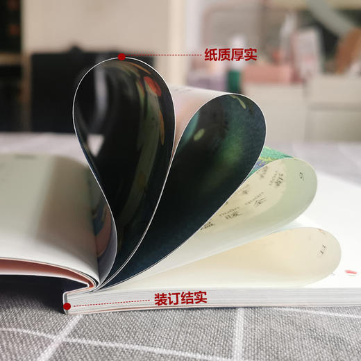 童书快乐读书吧一二三四五六年级上下册课外阅读 彩图注音版书籍语文课本阅读书目带拼音儿童文学 商品图3