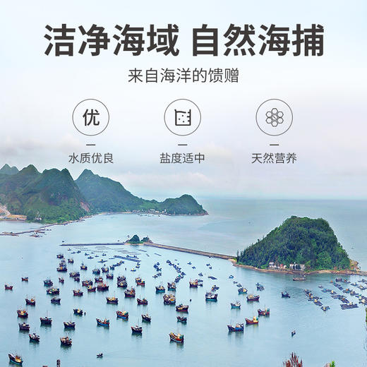 方家铺子 鱿鱼干268g/袋装 商品图6