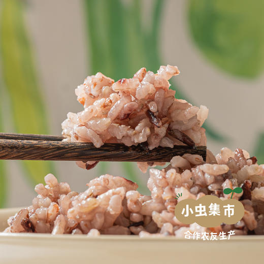 生态老品种如意米 5斤 | 合作农友生产，来自浙江湖州，生产者：王陆良 *【公平贸易农人定价】 商品图2