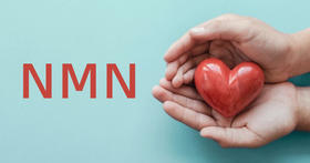 多项研究：NMN可预防与改善心力衰竭