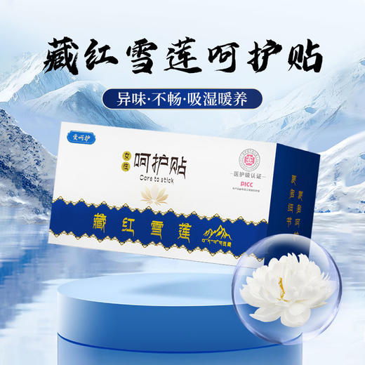 [小滋心选]【活动价￥59.9/5盒 | 到手40贴】雪莲养护贴，专为女性设计的草本护垫，让女性更爱自己 商品图0