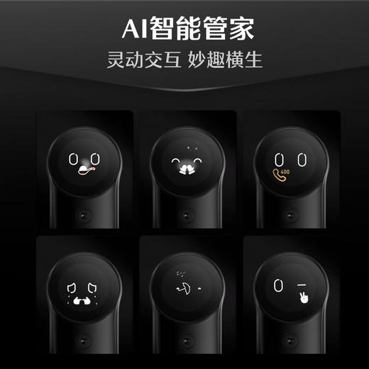 德施曼人脸猫眼智慧屏指纹智能锁麒麟R9AI智能管家 商品图1