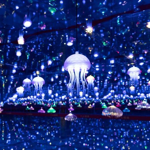 罗源湾海洋世界（赠决战神龙岛）【GA】 商品图3