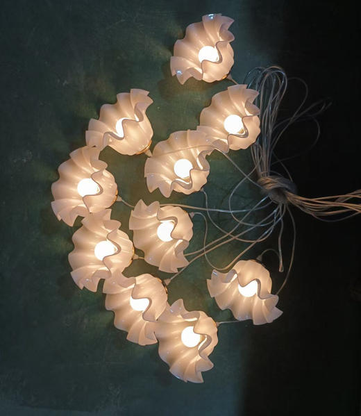 10头白玉兰吊灯串（运费自理） 商品图0