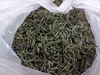 【公益助农】2025年罗山彭新高山农户手工明前茶一芽一叶（仅一斤） 商品缩略图0