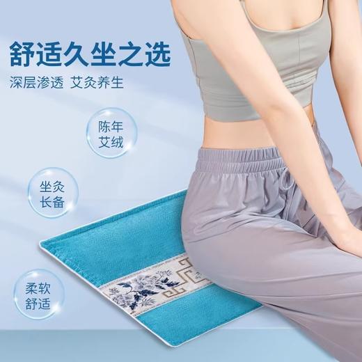 【升阳好物】艾修堂护理蕲艾绒坐垫  升级面料加量艾绒 商品图0