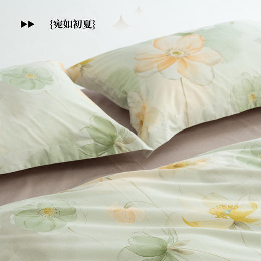【全棉印花-宛如初夏】SCHIESSER LIVING  舒雅生活雅系列全棉印花四件套-宛如初夏'11010125010013/14 商品图2