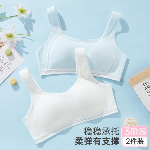 雅黛俪 【16-18岁 2件装】3阶少女文胸含桑蚕丝发育期内衣柔软 商品图1