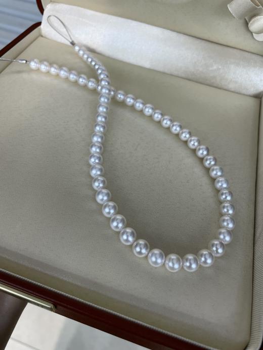 7mm-8mm akoya项链 商品图3