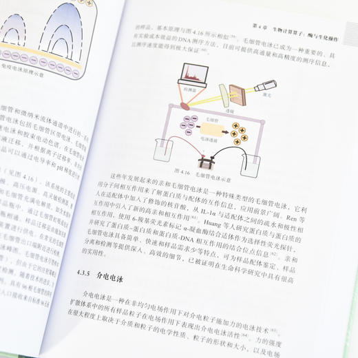 生物计算 DNA计算RNA蛋白质计算 生物计算技术教程 计算机科学生物学 生物计算理论基础 商品图4